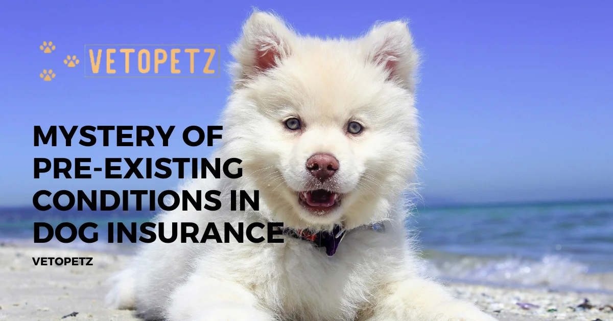 Pre-Existing Conditions In Dog Insurance: A Comprehensive Guide